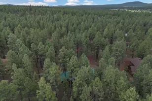 7329 E Long Bow Dr, Williams, AZ 86046 - Photo 39