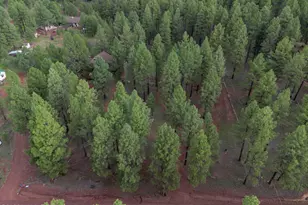 7329 E Long Bow Dr, Williams, AZ 86046 - Photo 33