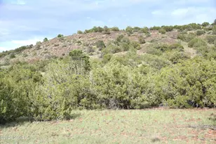 11310 S Grey Hawk Wy, Williams, AZ 86046 - Photo 1