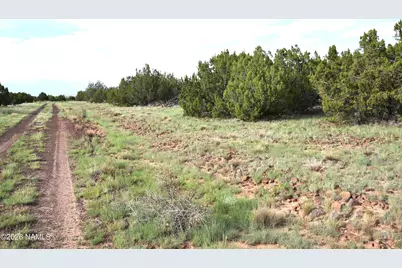 11310 S Grey Hawk Way, Williams, AZ 86046 - Photo 9