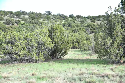 11310 S Grey Hawk Way, Williams, AZ 86046 - Photo 7