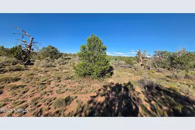 10072 Red Butte Rd Lot A, Williams, AZ 86046 - Photo 11
