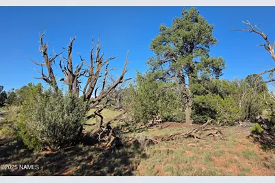 10072 Red Butte Rd Lot A, Williams, AZ 86046 - Photo 3