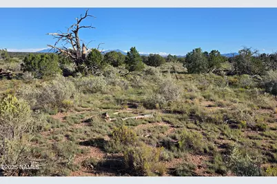 10072 Red Butte Rd Lot B, Williams, AZ 86046 - Photo 13