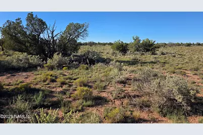 10072 Red Butte Rd Lot B, Williams, AZ 86046 - Photo 5