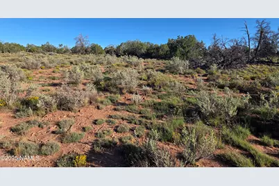10072 Red Butte Rd Lot B, Williams, AZ 86046 - Photo 19