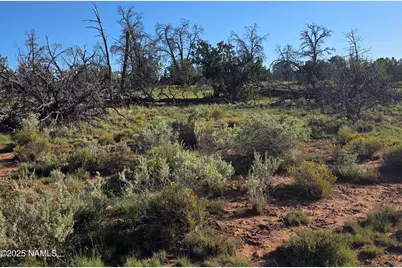 10072 Red Butte Rd Lot C, Williams, AZ 86046 - Photo 17