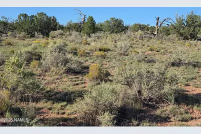 10072 Red Butte Rd Lot C, Williams, AZ 86046 - Photo 13