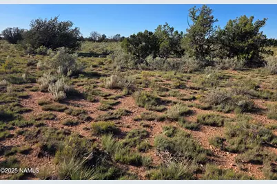 10072 Red Butte Rd Lot C, Williams, AZ 86046 - Photo 11