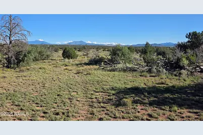 10072 Red Butte Rd Lot C, Williams, AZ 86046 - Photo 3
