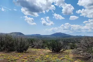30343007-B Alpine Ranches, Flagstaff, AZ 86004 - Photo 1