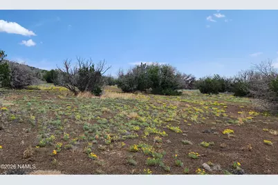30343007-B Alpine Ranches, Flagstaff, AZ 86004 - Photo 3