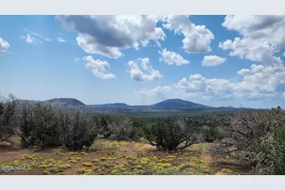30343007-B Alpine Ranches, Flagstaff, AZ 86004 - Photo 5