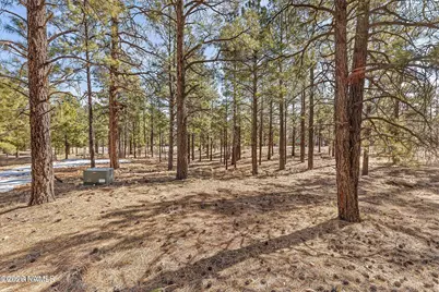 5055 Townsend-Winona Road #3, Flagstaff, AZ 86004 - Photo 9