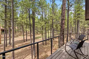 4850 E Mt Pleasant Dr, Flagstaff, AZ 86004 - Photo 75