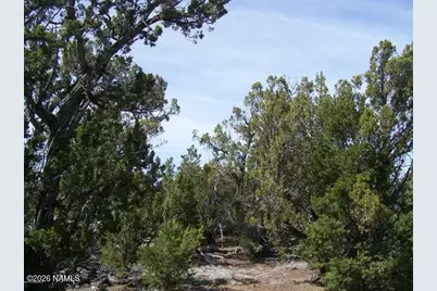 5377 N Downpour Row, Williams, AZ 86046 - Photo 1