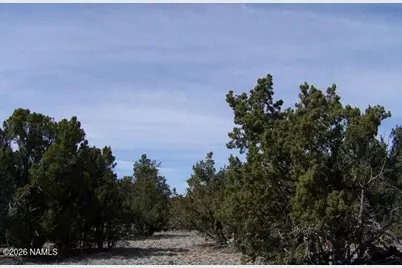 5377 N Downpour Row, Williams, AZ 86046 - Photo 5
