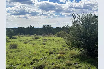 10209 S Big Bear Road, Williams, AZ 86046 - Photo 11