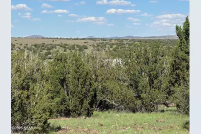 10209 S Big Bear/14556 Howard Mesa Road, Williams, AZ 86046 - Photo 21