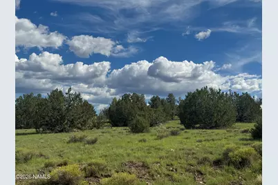 10209 S Big Bear/14556 Howard Mesa Road, Williams, AZ 86046 - Photo 19