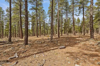 2937 Ben Brooks Lot# 3, Flagstaff, AZ 86005 - Photo 23