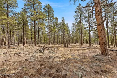 2937 Ben Brooks Lot# 3, Flagstaff, AZ 86005 - Photo 19