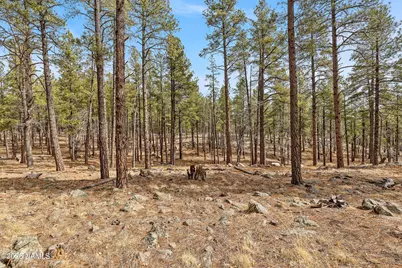 2937 Ben Brooks Lot# 3, Flagstaff, AZ 86005 - Photo 21