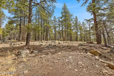 2851 Ben Brooks Lot #2, Flagstaff, AZ 86005 - Photo 15