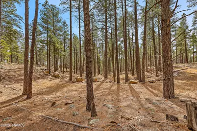 2851 Ben Brooks Lot #2, Flagstaff, AZ 86005 - Photo 25