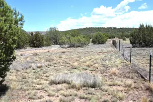 2703 N Ann Ln, Williams, AZ 86046 - Photo 9