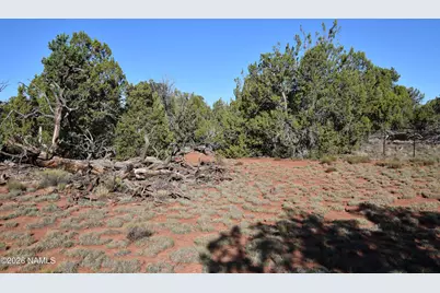 2564 S Red Clover Drive, Williams, AZ 86046 - Photo 9