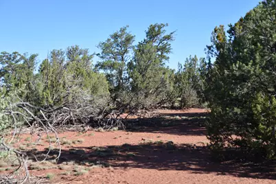 2564 S Red Clover Drive, Williams, AZ 86046 - Photo 15