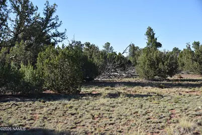 2564 S Red Clover Drive, Williams, AZ 86046 - Photo 13