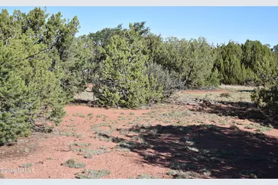 2564 S Red Clover Drive, Williams, AZ 86046 - Photo 19