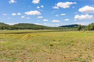 1459 N Transwestern Pump Rd, Bellemont, AZ 86015 - Photo 83