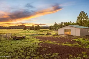 1459 N Transwestern Pump Rd, Bellemont, AZ 86015 - Photo 9