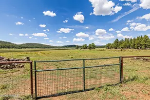 1459 N Transwestern Pump Rd, Bellemont, AZ 86015 - Photo 81