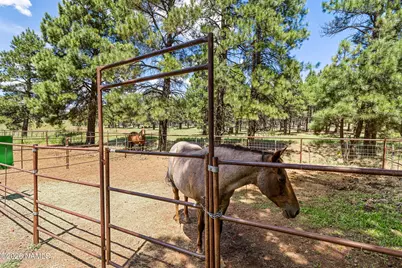 1459 N Transwestern Pump Road, Bellemont, AZ 86015 - Photo 79