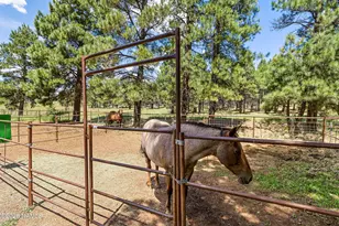 1459 N Transwestern Pump Rd, Bellemont, AZ 86015 - Photo 79