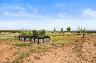 137 S Otto Dr, Snowflake, AZ 85937 - Photo 55