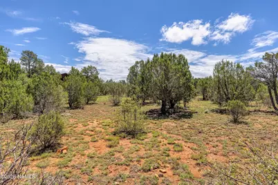 2277 Sunrise Road, Heber, AZ 85933 - Photo 7