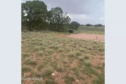 3072 E Indian Meadows Road, Williams, AZ 86046 - Photo 15
