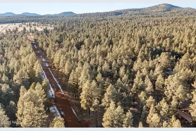 725 S Friar Tuck Trail, Williams, AZ 86046 - Photo 19