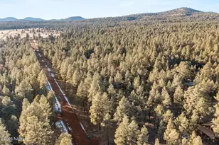 725 S Friar Tuck Trail, Williams, AZ 86046 - Photo 19