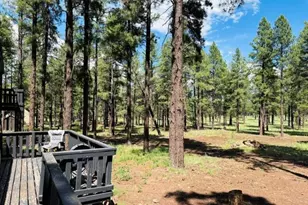 725 S Friar Tuck Trail, Williams, AZ 86046 - Photo 23