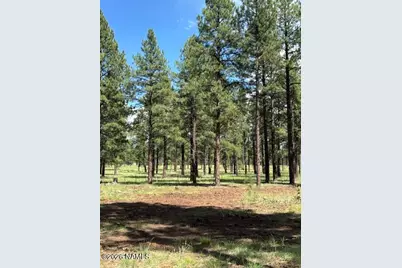 725 S Friar Tuck Trail, Williams, AZ 86046 - Photo 21