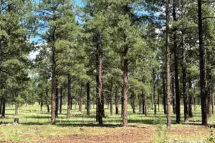 725 S Friar Tuck Trail, Williams, AZ 86046 - Photo 21