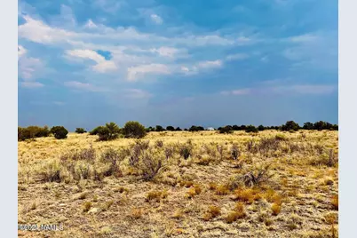4115 N State Route Road #19, Williams, AZ 86046 - Photo 3