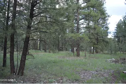 24A N Philip Drive, Parks, AZ 86018 - Photo 3