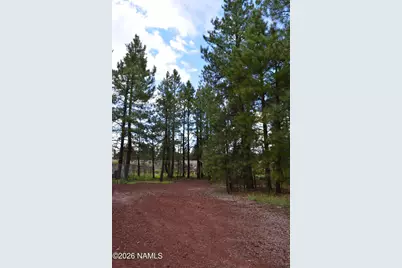 24A N Philip Drive, Parks, AZ 86018 - Photo 7